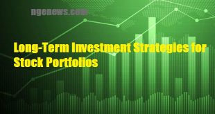 Long-Term Investment Strategies for Stock Portfolios